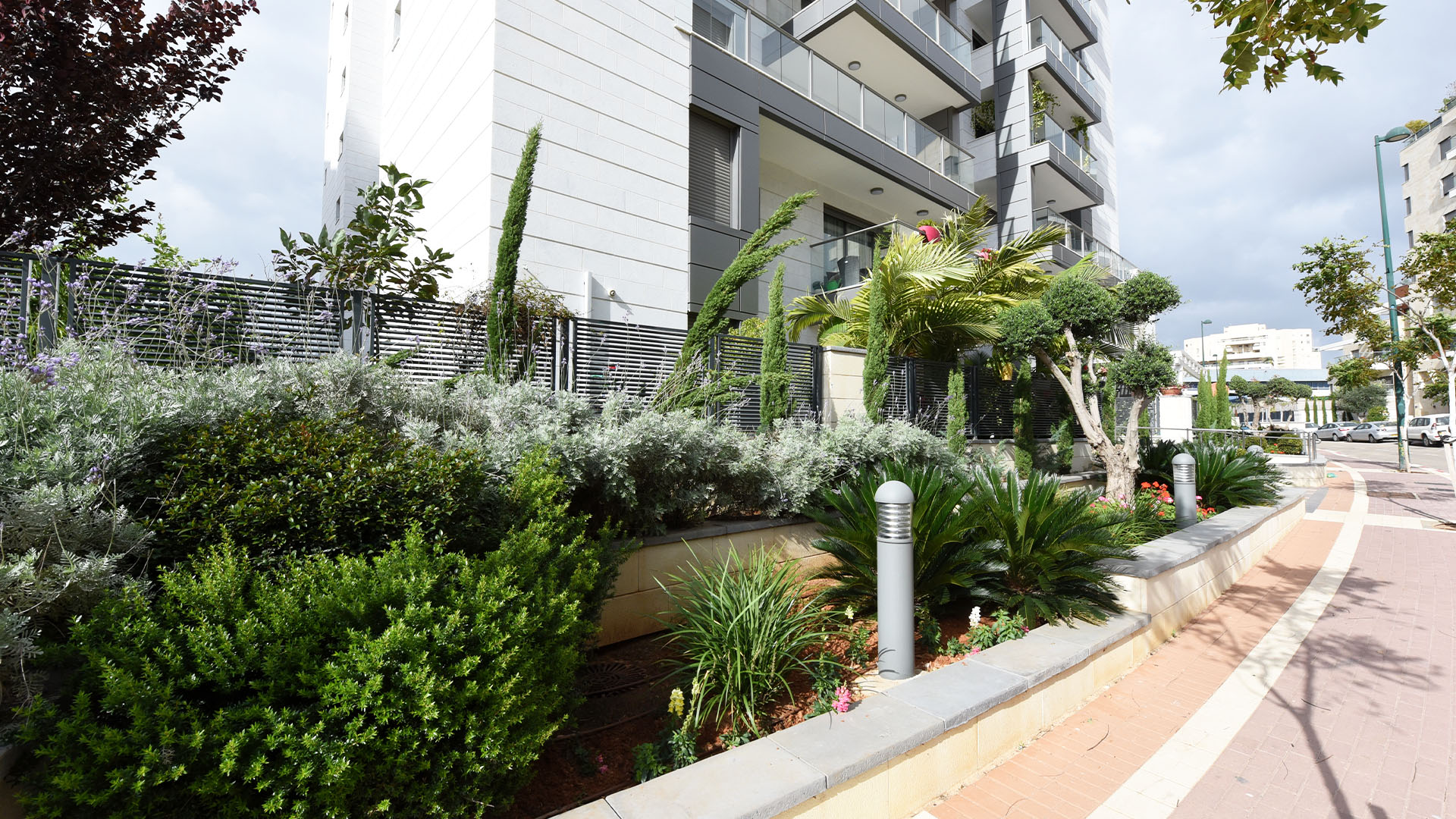 אדירים באונו - קריית אונו