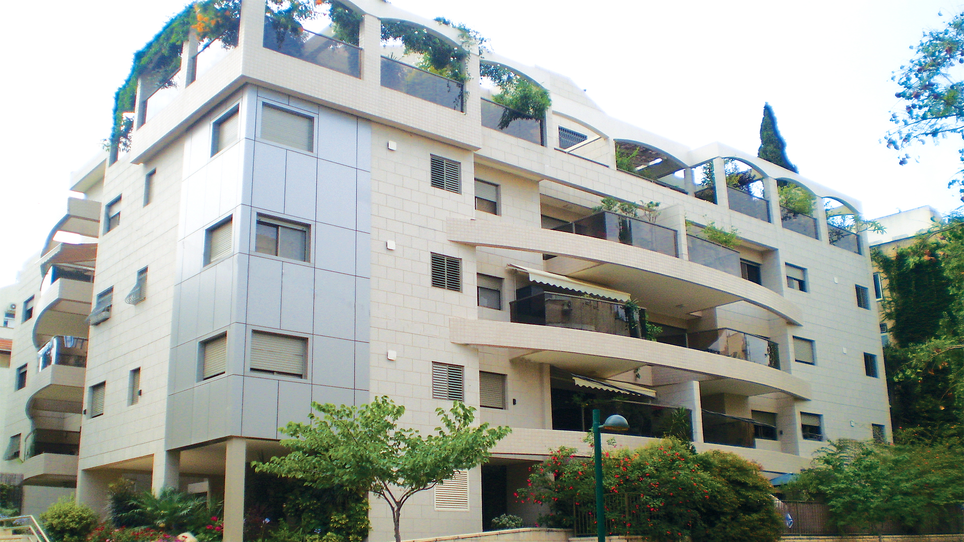 חבצלת השרון - כפר סבא