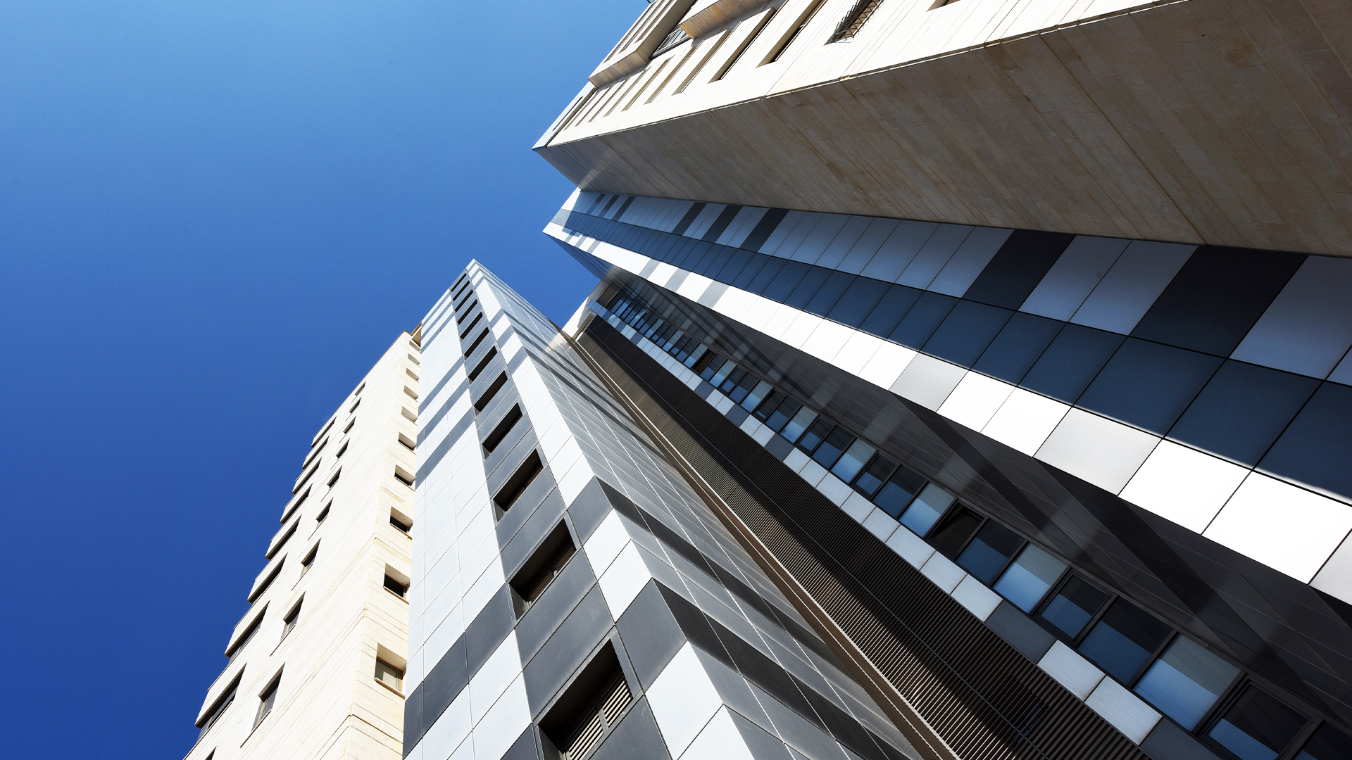 חבצלת השרון - רמת השרון