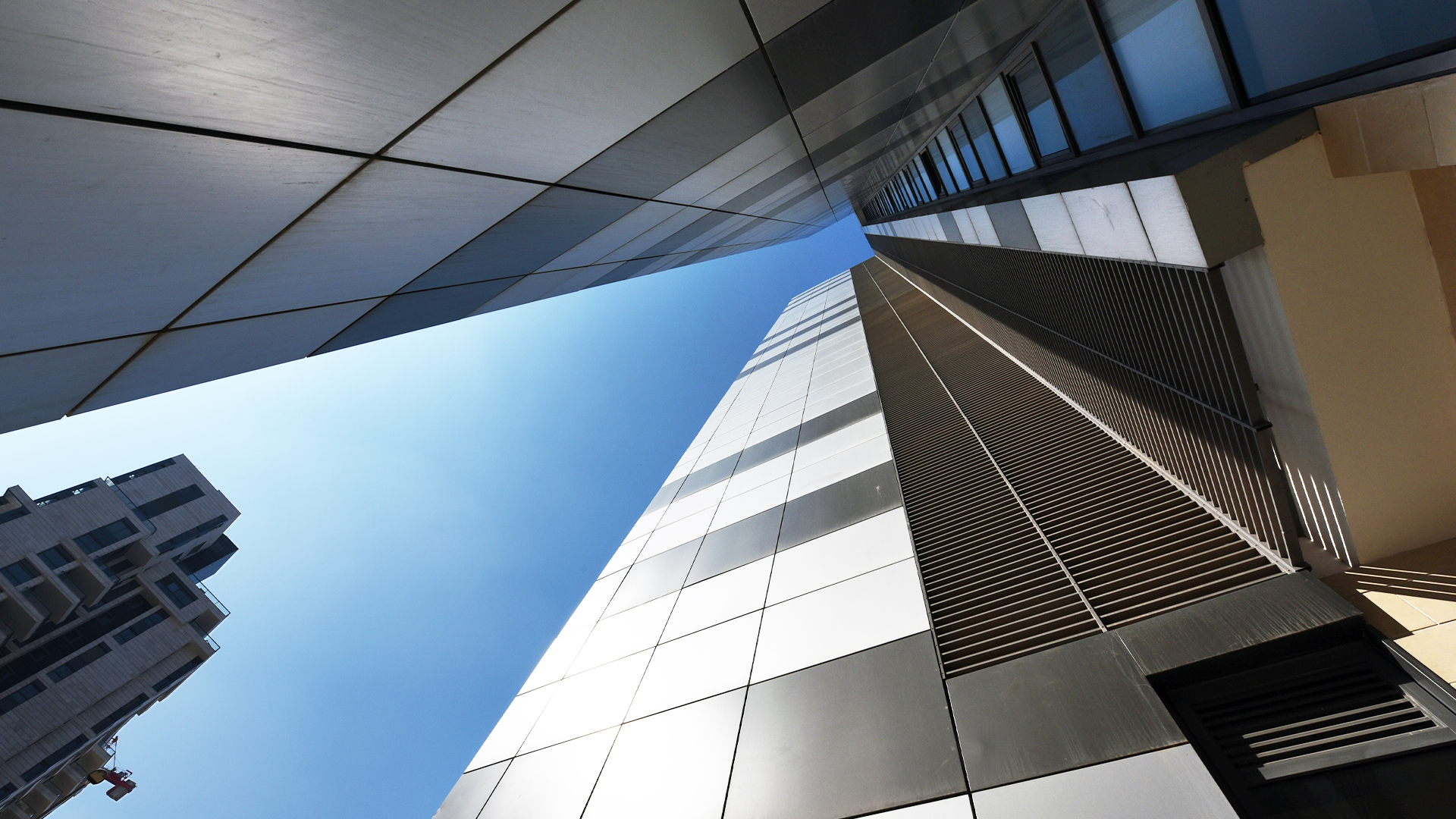 חבצלת השרון - רמת השרון_2